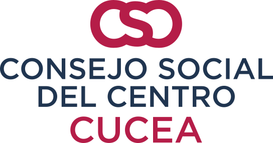 logo Consejo social de centro